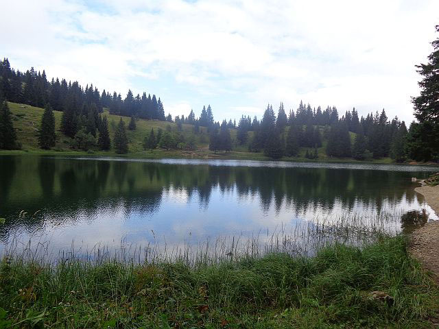 Petit lac qui est un havre de paix  1450m au pied de la majestueuse chane du Bargy en Hte Savoie..