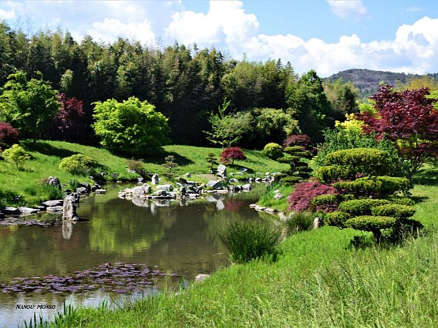 Son jardin japonais et son ambiance zen..