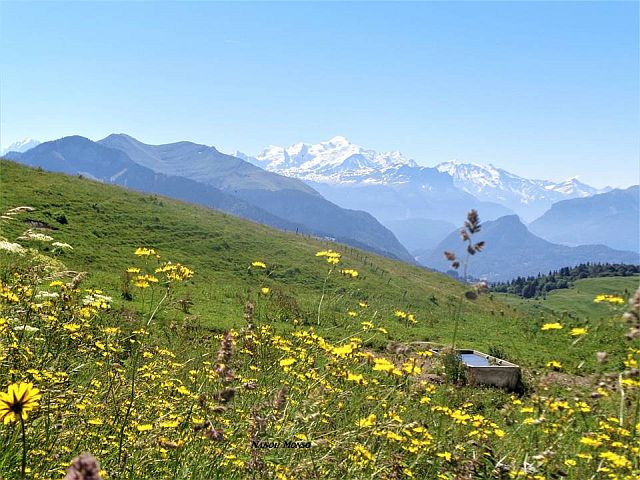 Le Mont-Blanc depuis le massif des Brasses..