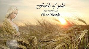 Fields of gold